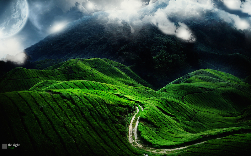 Sample Download File Satu Sample Download File Satu